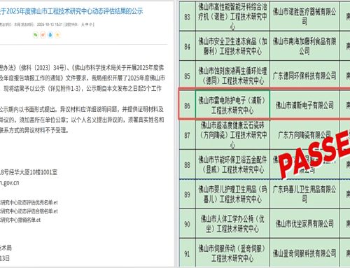 Prosurge’s Lightning Protection R&D Center Successfully Passes the 2025 Government Assessment